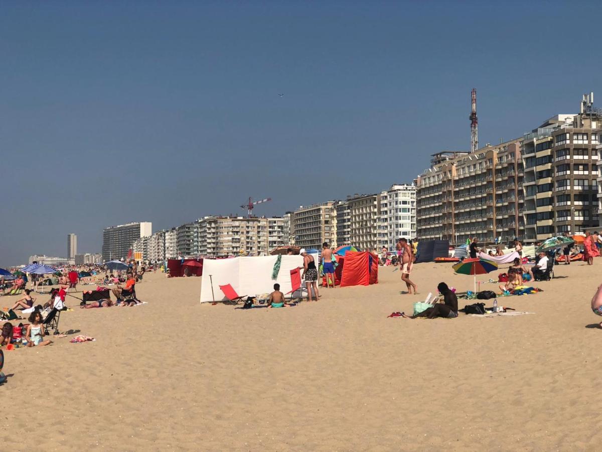 Stormvogel B3 - - Seaview Met Frontaal Zeezicht 4pers Direct Aan Het